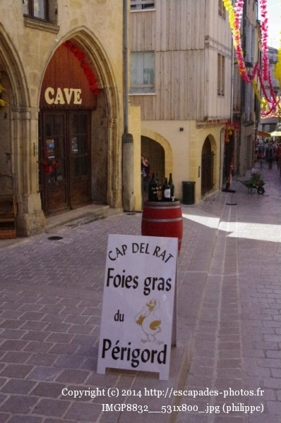 IMGP8832__531x800_.jpg