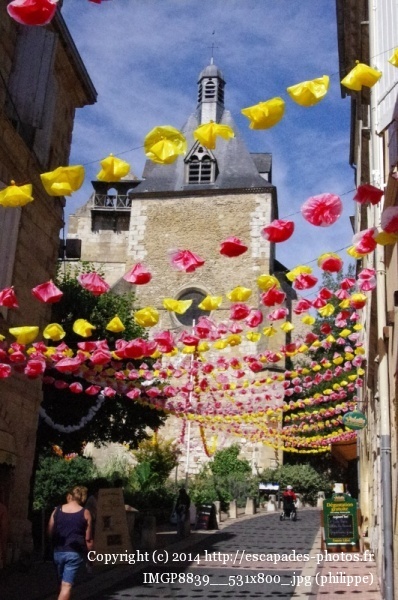 IMGP8839__531x800_.jpg