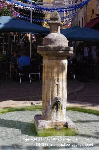 IMGP8851__531x800_.jpg