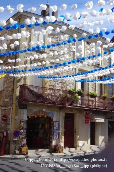 IMGP8860__531x800_.jpg