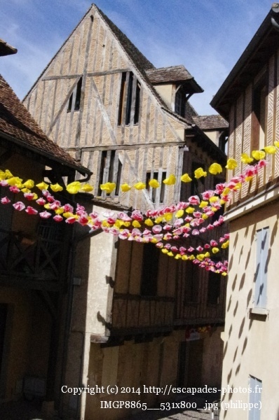 IMGP8865__531x800_.jpg