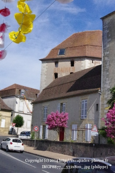 IMGP8877__531x800_.jpg