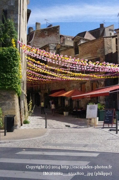 IMGP8882__531x800_.jpg