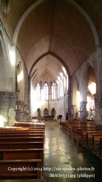 IMAG0331.jpg