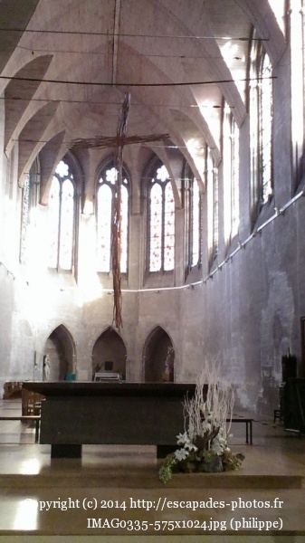 IMAG0335 (575x1024).jpg