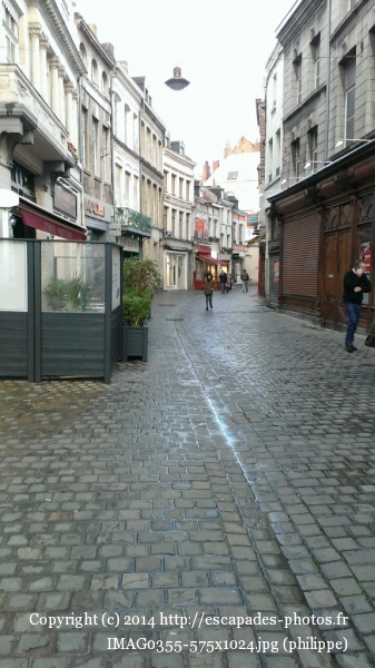 IMAG0355 (575x1024).jpg