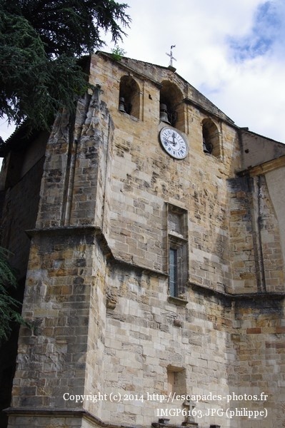 IMGP6163.JPG
