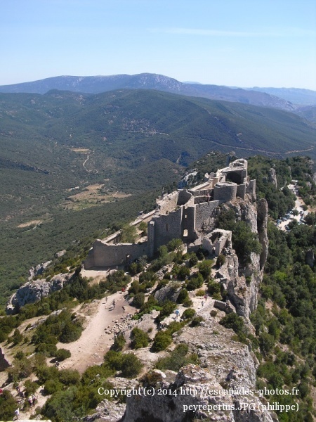 peyrepertus.JPG