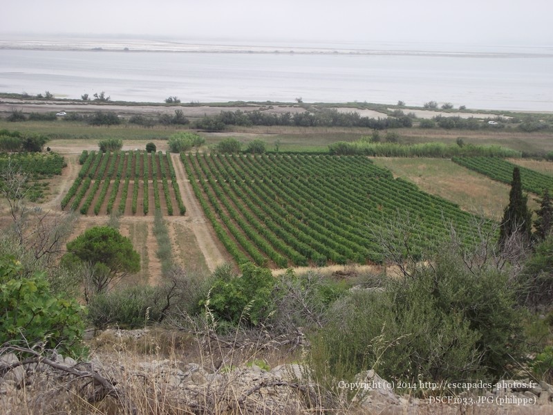 DSCF1033.JPG