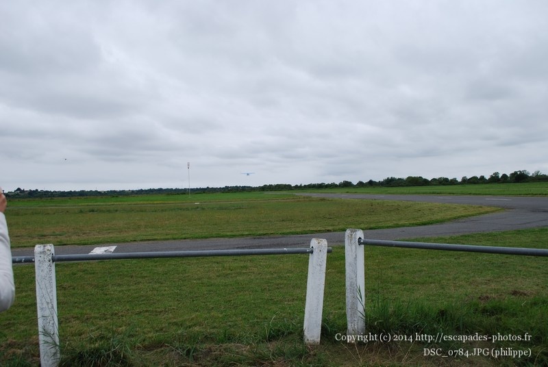 DSC_0784.JPG
