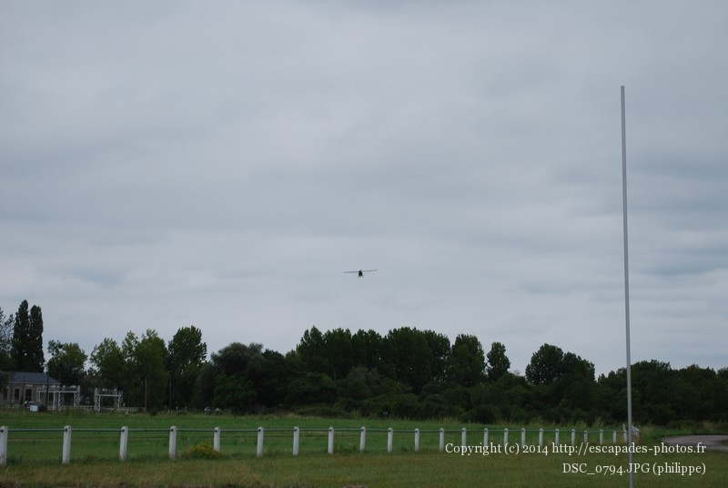 DSC_0794.JPG