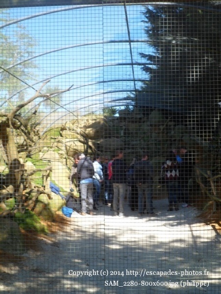 SAM_2280 (800x600).jpg