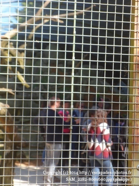 SAM_2282 (800x600).jpg