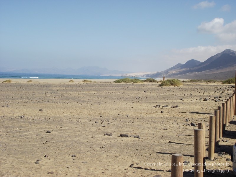 DSCF6051.JPG