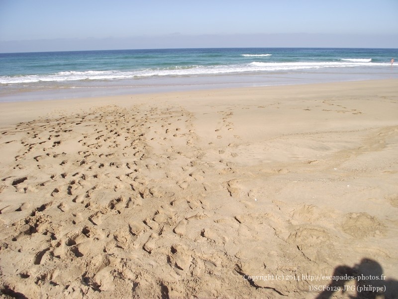 DSCF6129.JPG