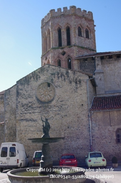 IMGP6340 (531x800).jpg