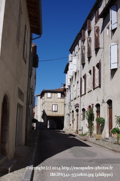 IMGP6341 (531x800).jpg