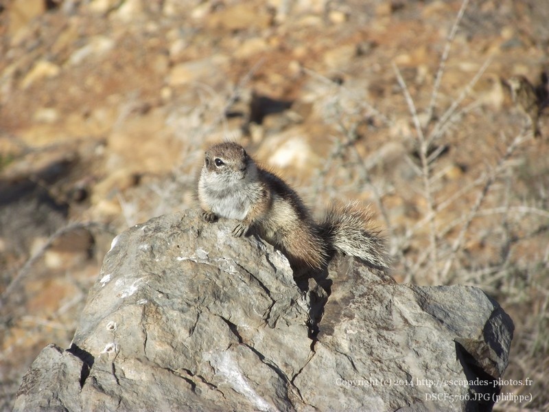 DSCF5706.JPG