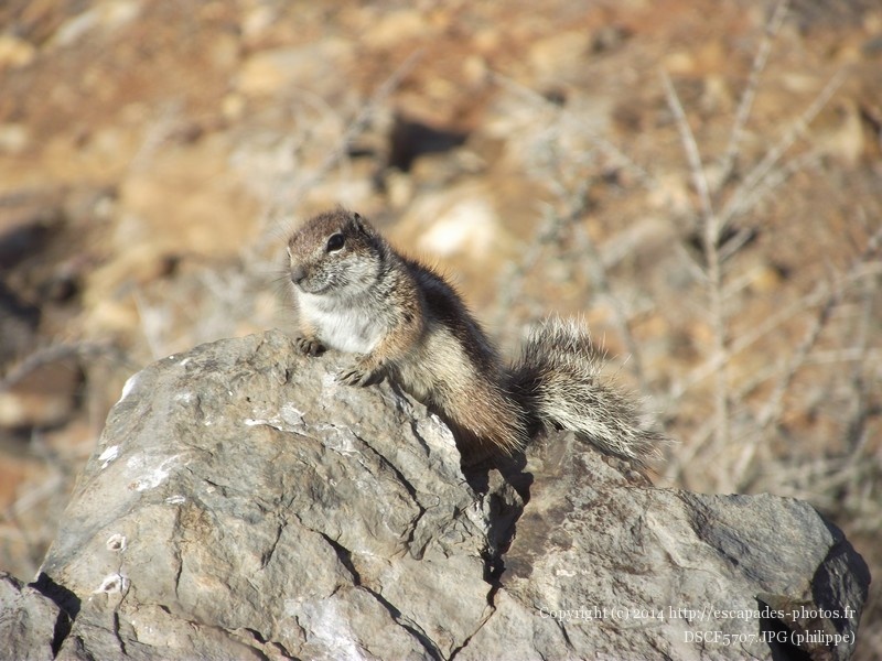 DSCF5707.JPG