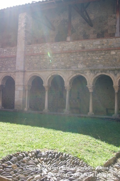 IMGP6347 (531x800).jpg