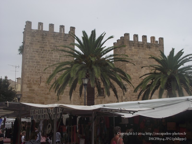 DSCF8914.JPG