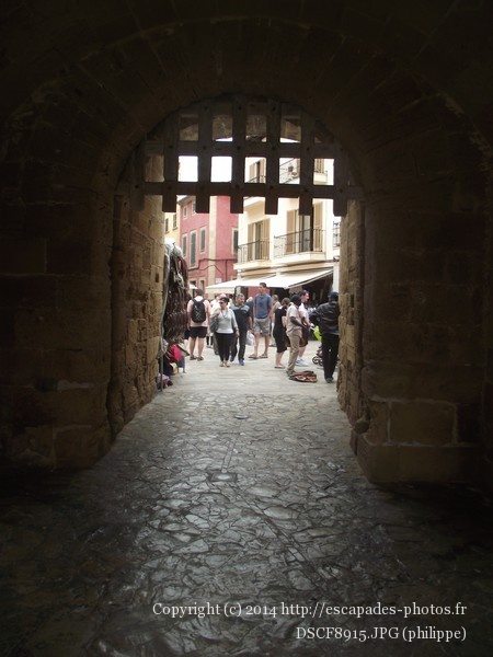 DSCF8915.JPG