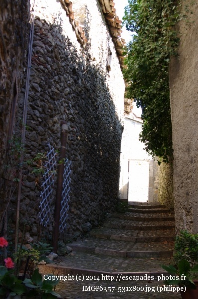 IMGP6357 (531x800).jpg