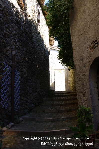 IMGP6358 (531x800).jpg