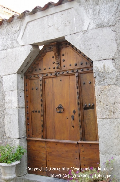 IMGP6363 (531x800).jpg