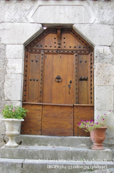 IMGP6364 (531x800).jpg