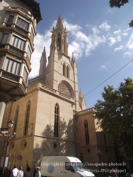 DSCF9131.JPG