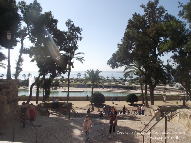 DSCF9141.JPG