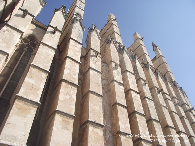 DSCF9143.JPG