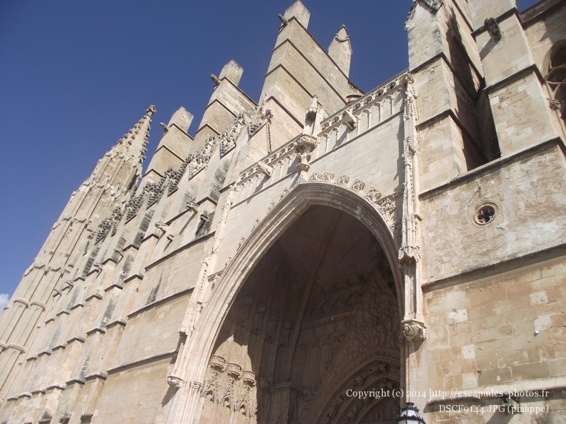 DSCF9144.JPG