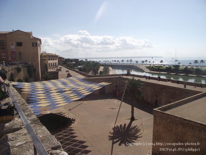 DSCF9146.JPG