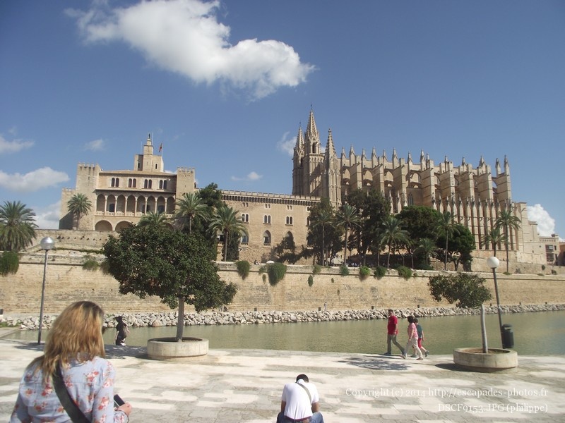 DSCF9153.JPG