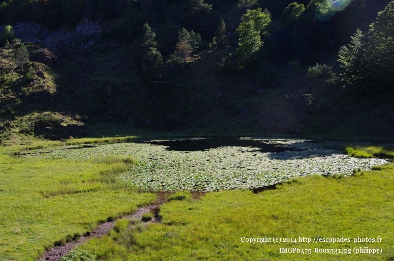 IMGP6375 (800x531).jpg