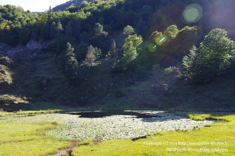 IMGP6376 (800x531).jpg