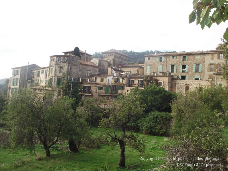 DSCF9061.JPG