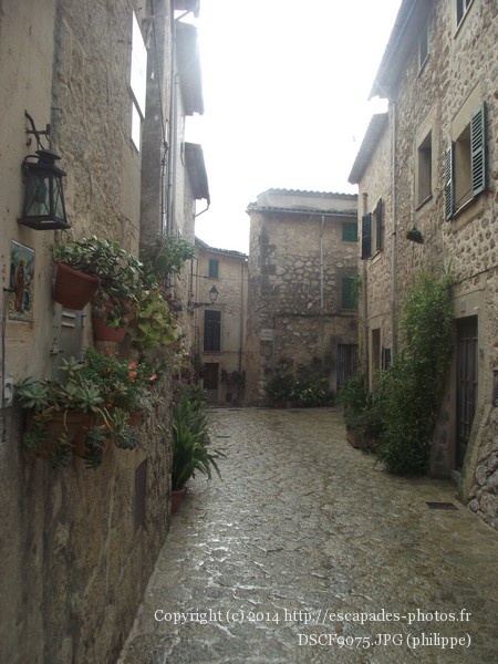 DSCF9075.JPG