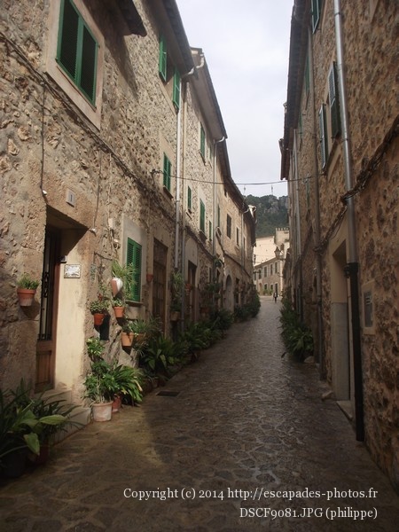 DSCF9081.JPG