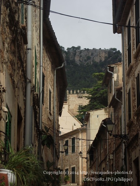 DSCF9082.JPG