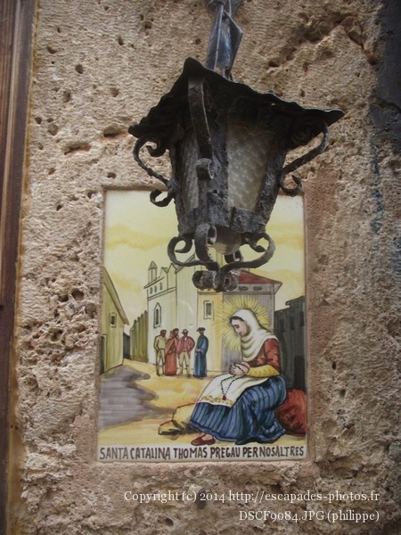 DSCF9084.JPG
