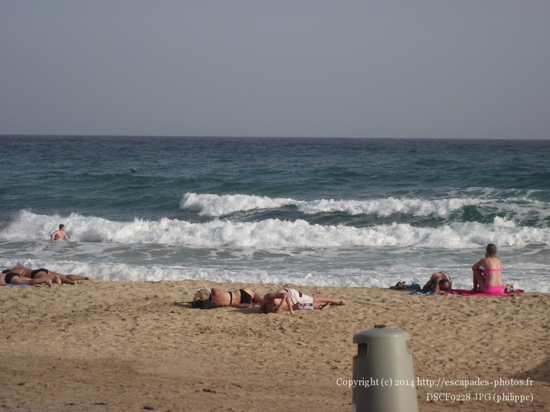DSCF9228.JPG