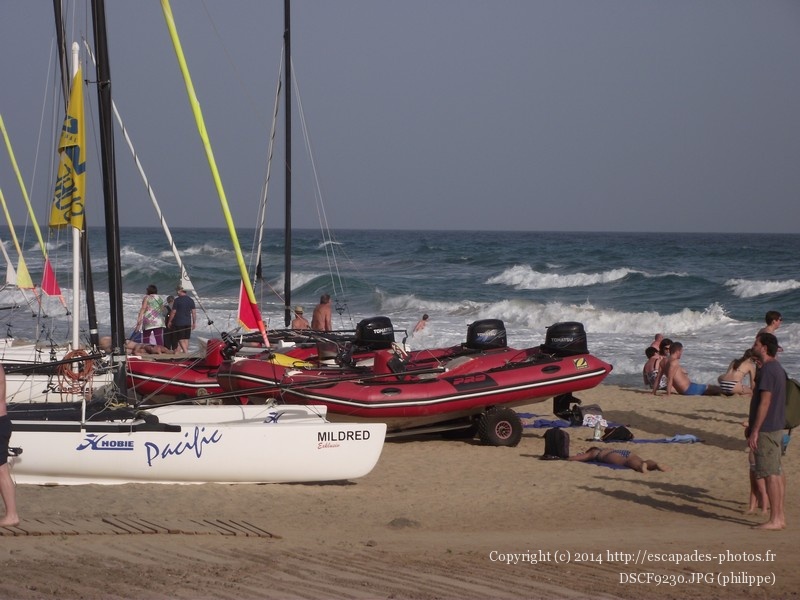 DSCF9230.JPG