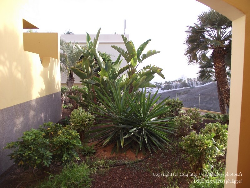 DSCF9257.JPG