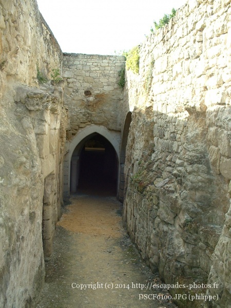 DSCF0100.JPG