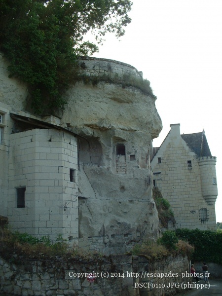 DSCF0110.JPG
