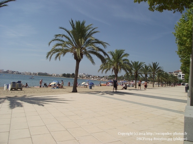 DSCF1094 (800x600).jpg