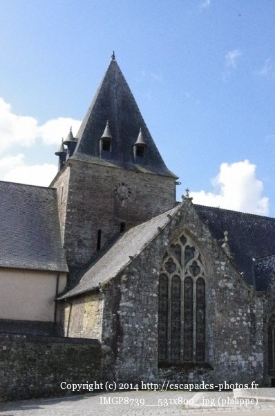 IMGP8739__531x800_.jpg